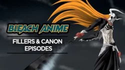 Liste der Filler Bleach-Episoden, die Sie überspringen können