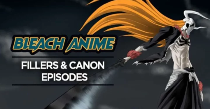 List of Filler Bleach Episodes You Can Skip