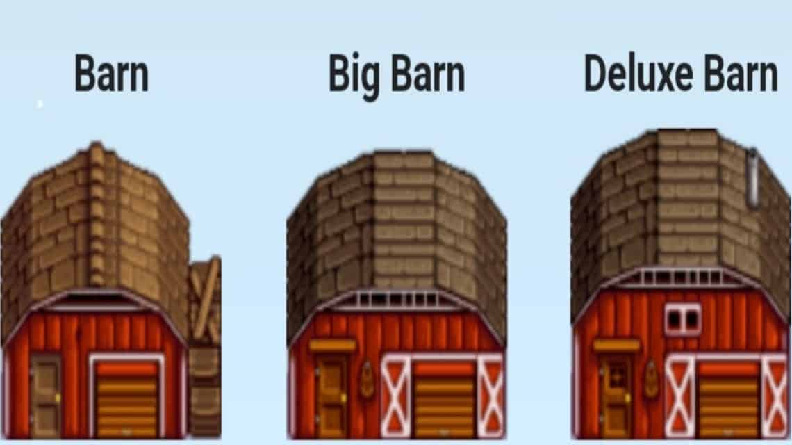 Types of Barns in Stardew Valley