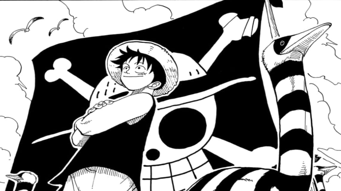 One Piece Cover