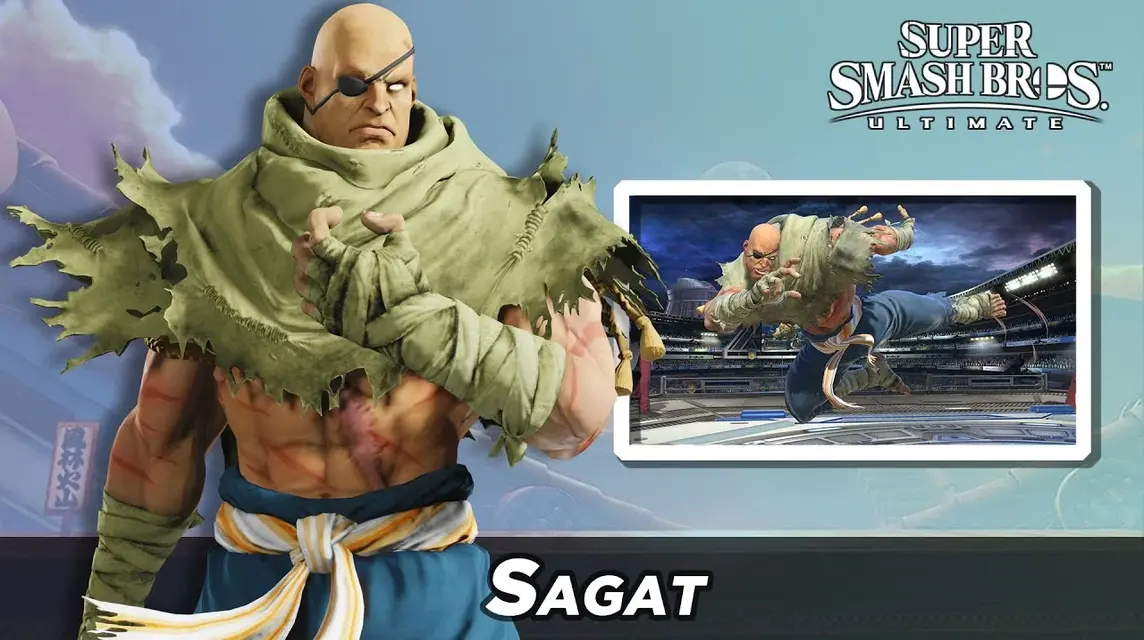 Super Smash Bros Spirit Sagat