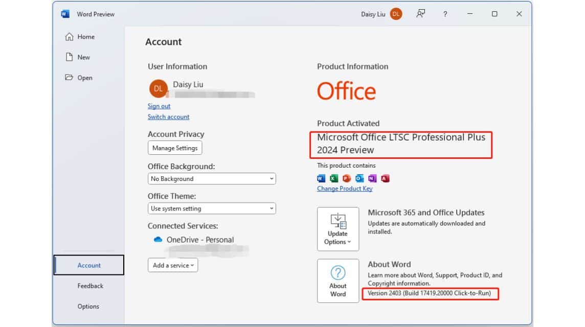 Office 2024 のインストール後の外観