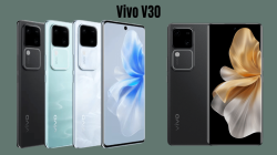 Hören! Offizieller Preis und technische Daten des Vivo V30