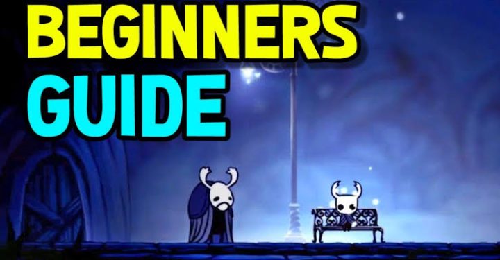 Hollow Knight-Spielanleitung: Werde der heiligste Meister