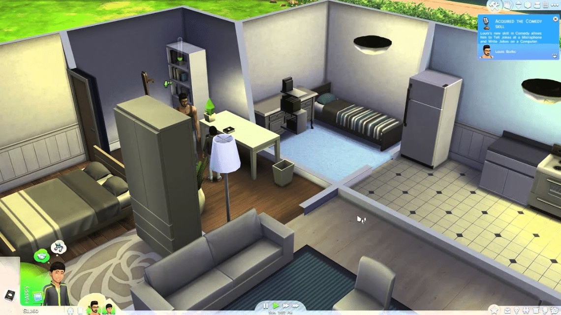 The Sims