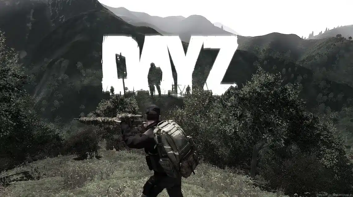 Does the DayZ game have features