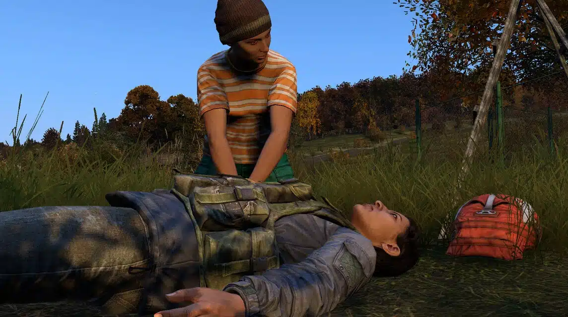 DayZ ゲームのゲームプレイ