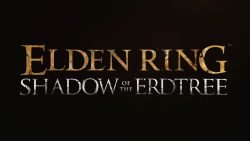 Elden Ring DLC 맵 정보 유출