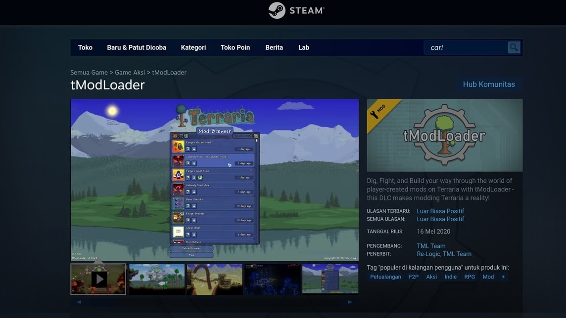 Steam의 tModLoader 32비트