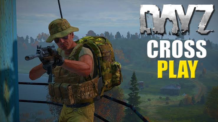 DayZ Bisa Crossplay