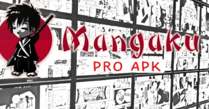 Vor- und Nachteile von Mangaku Pro