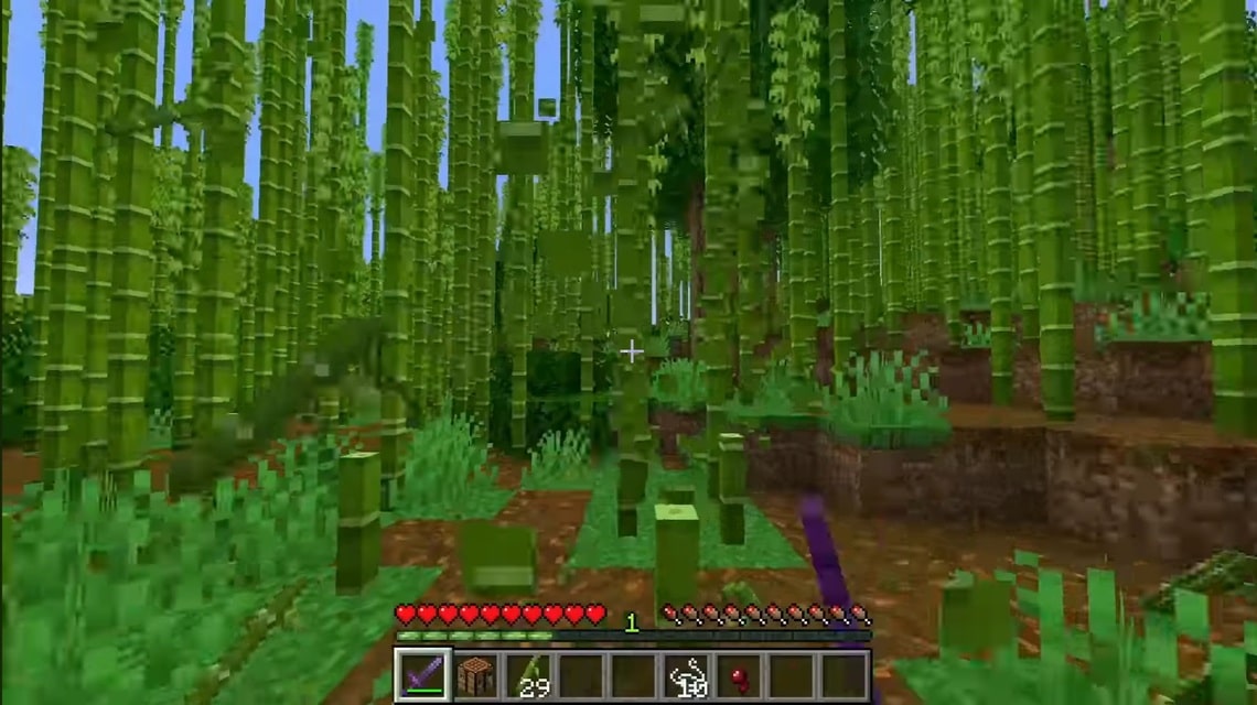 Bamboo biome