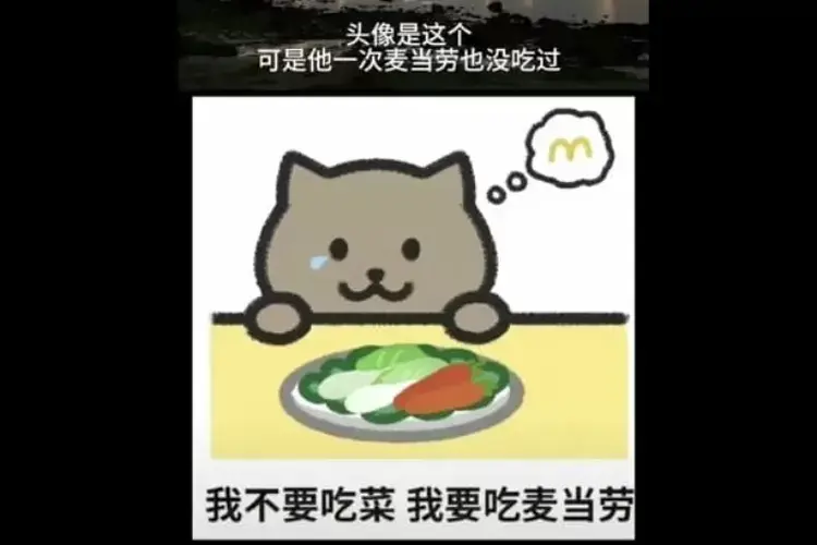 肥猫