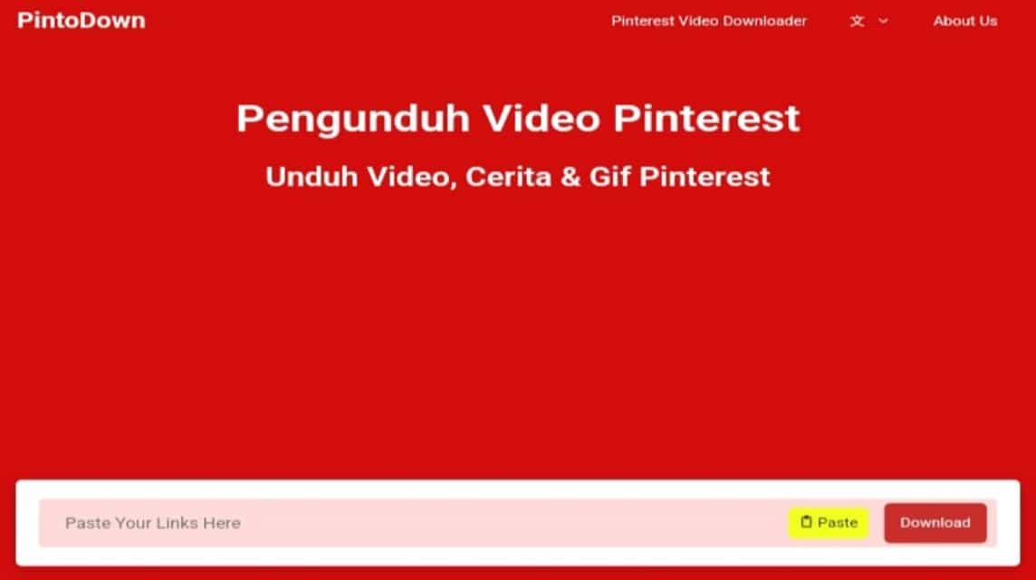 Pinterest-Videos herunterladen (6)