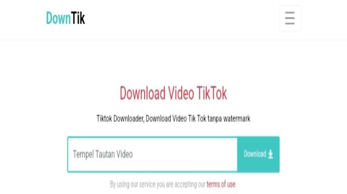 download video tiktok (6)