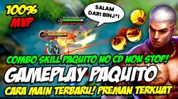 Recommended Best Paquito Combo, Auto Pro!