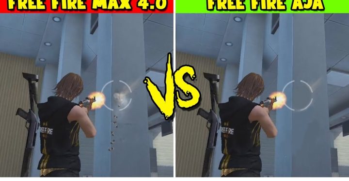 6 Differences between FF Max and Regular FF, Check First!