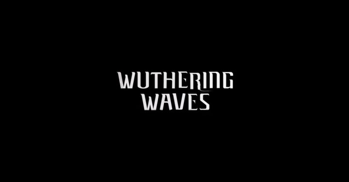 Miscellaneous About Wuthering Waves