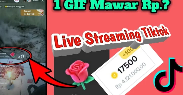 Gift Mawar di TikTok Berapa Rupiah? Temukan Jawabannya Disini