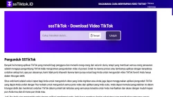 List of Applications and Sites to Download Videos Similar to Ssstiktok