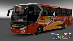 50 Latest Cool 3D Bussid Livery: Clear and Cool