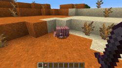 Makanan Armadillo di Minecraft