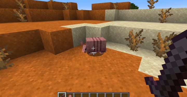 Makanan Armadillo di Minecraft