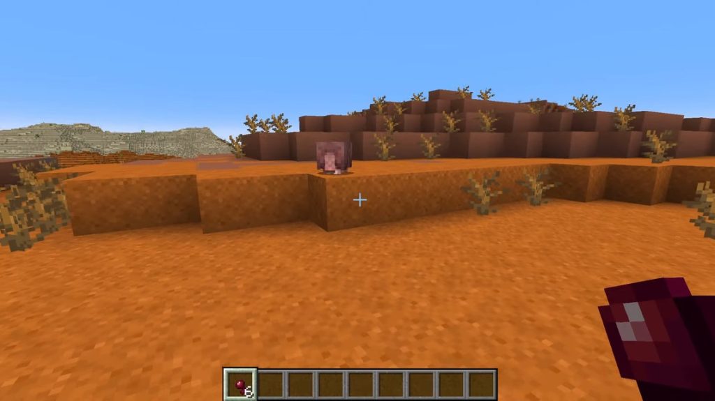 GürteltierEssen in Minecraft