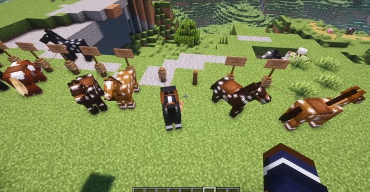 Wie man in Minecraft Pferde züchtet