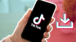 如何在 Tiktokio 上下载 TikTok 视频和声音