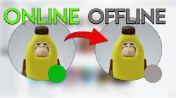 Cara Terlihat Offline di Roblox