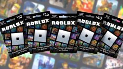 Roblox クレジットを Robux に使用する方法