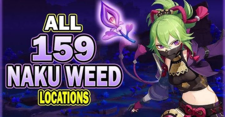 Neueste Naku Weed Genshin Impact-Standorte