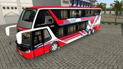 20 BUSSID ダブルデッカー カラーリング クリア＆クール