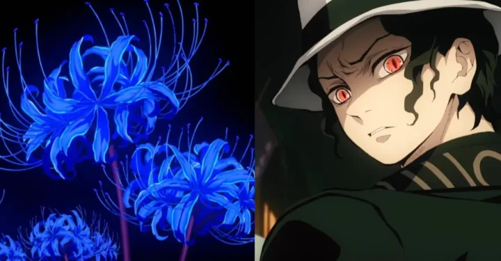 デーモンスレイヤーの青い曼珠沙華の花に関する事実