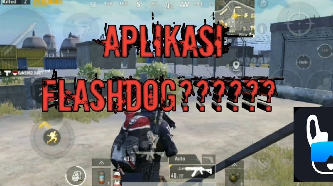 PUBG FlashDog Settings