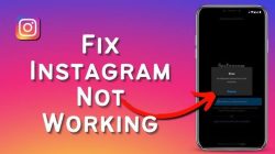 Why Can't I Open IG? Here Are the Causes and Solutions!