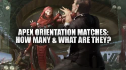 Apex Match Orientation: How Much & What Is It?