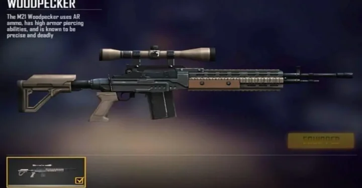 Woodpecker FF 的统计数据、优点和缺点 