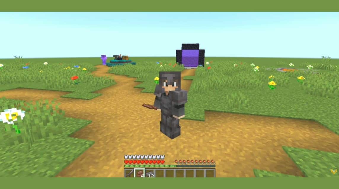 Minecraft 中的角色