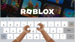 80 Roblox-Benutzernamen-Empfehlungen, beanspruchen wir sie