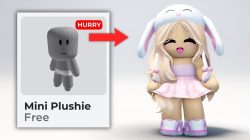 100+ Latest Aesthetic, Cool, and Funny Roblox Girl Names
