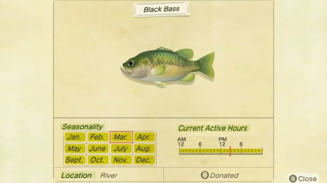 ACNH Fish List - Black Bass