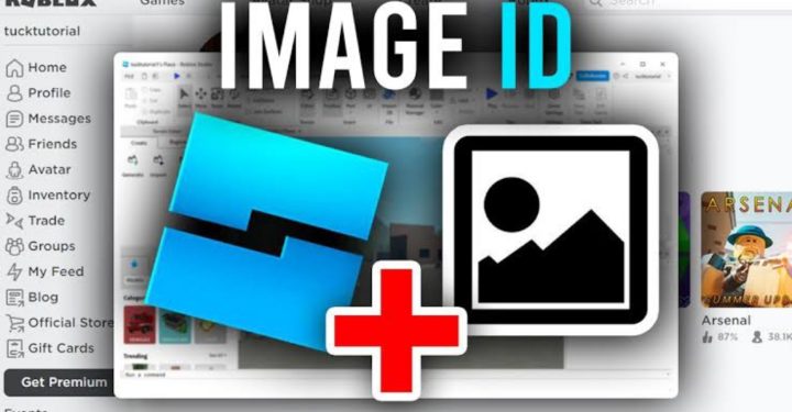 ID Roblox 图片：让你的头像更酷的指南