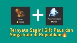 Harga Paus TikTok 2025 & Cara Belinya, Auto Disapa Creator!