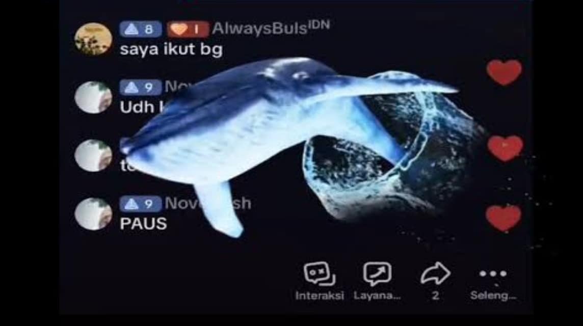 ティックトックのクジラの価格 