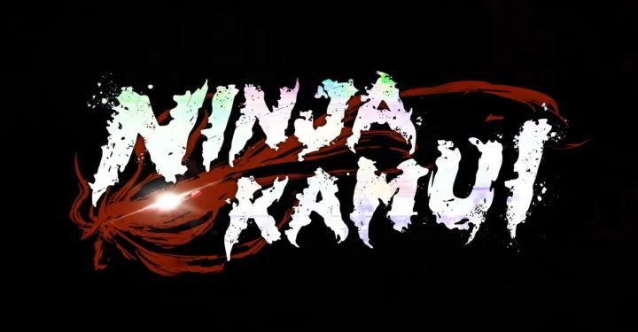 Inhaltsangabe, Hauptfiguren und neue Staffel von Ninja Kamui