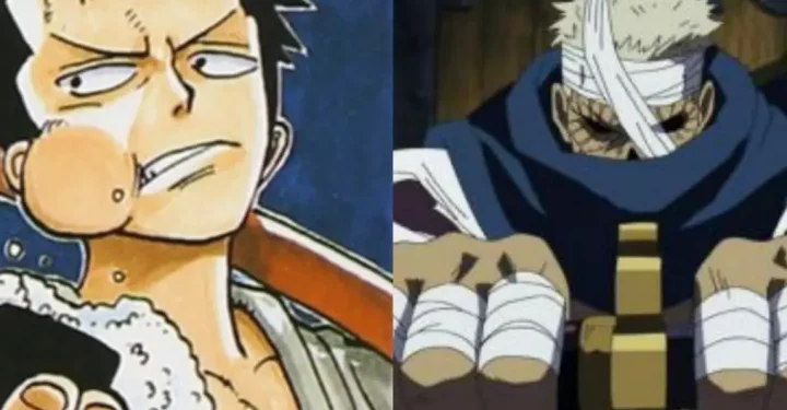 Fakta Menarik Mengenai Ryuma di Serial One Piece