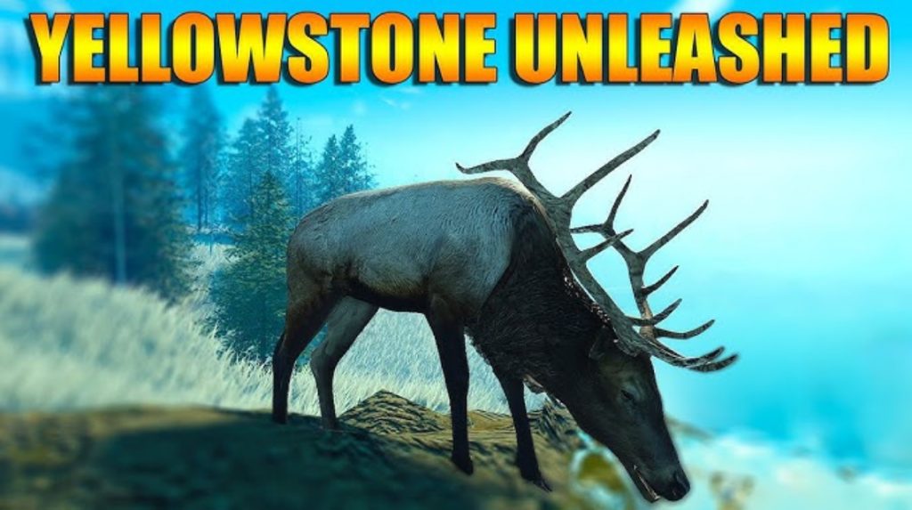 Kode Yellowstone Unleashed