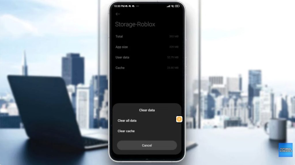 Anwendungscache leeren